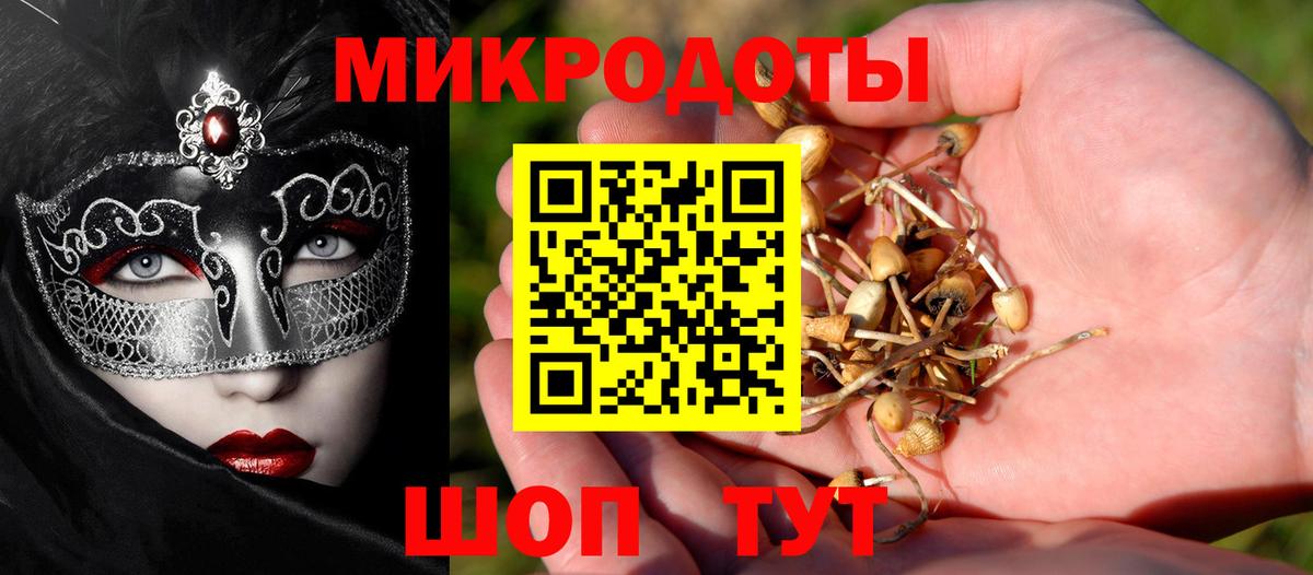 Галлюциногенные грибы Magic Shrooms  Вход с VPN  Псилоцибиновые грибы MAGIC MUSHROOMS  Большой Камень 