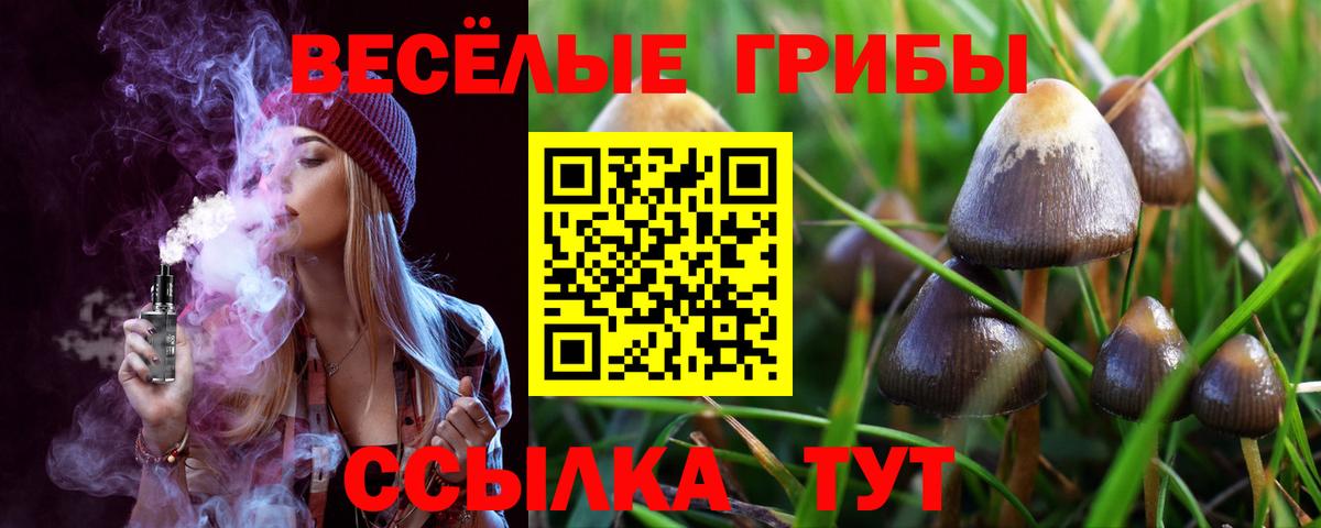 Псилоцибиновые грибы Psilocybe Большой Камень